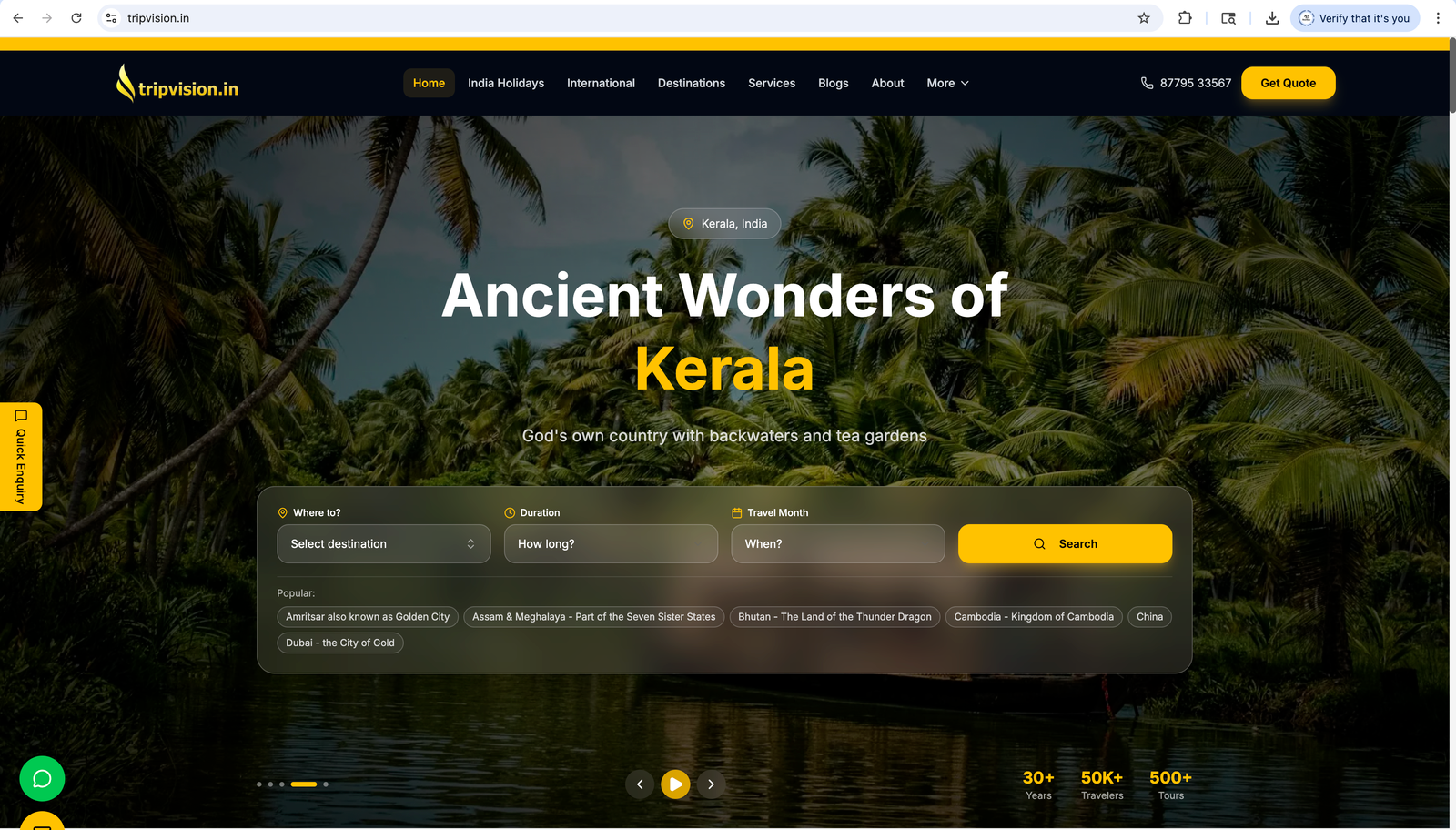 Trip Vision website preview